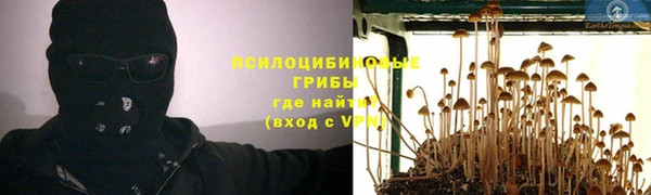 первитин Ладушкин