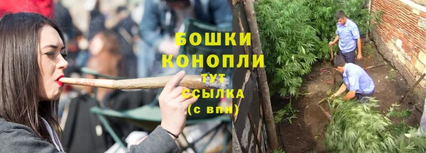 дживик Дмитровск