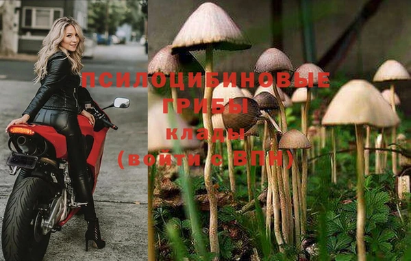 первитин Ладушкин