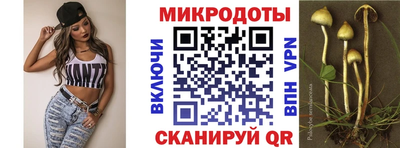 Галлюциногенные грибы Cubensis  купить закладку  Жирновск 